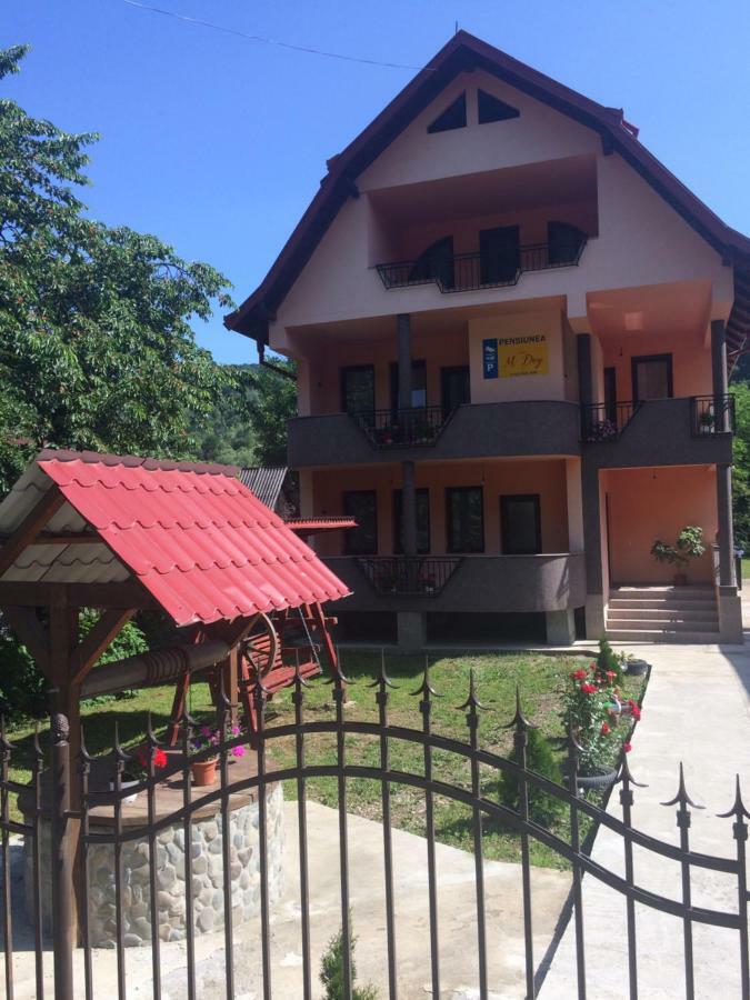 M Dey Hotell Vişeu de Sus Exteriör bild